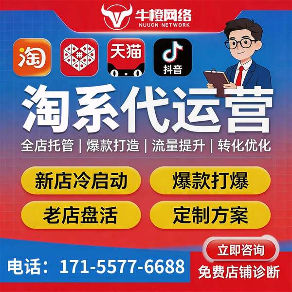北京电商代运营