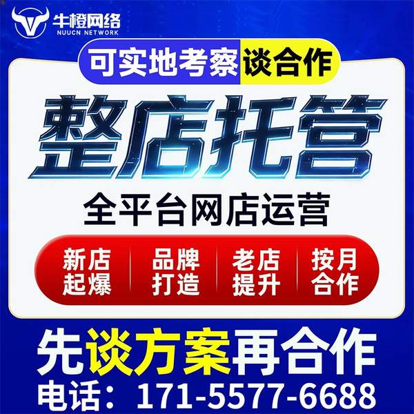 北京电商代运营