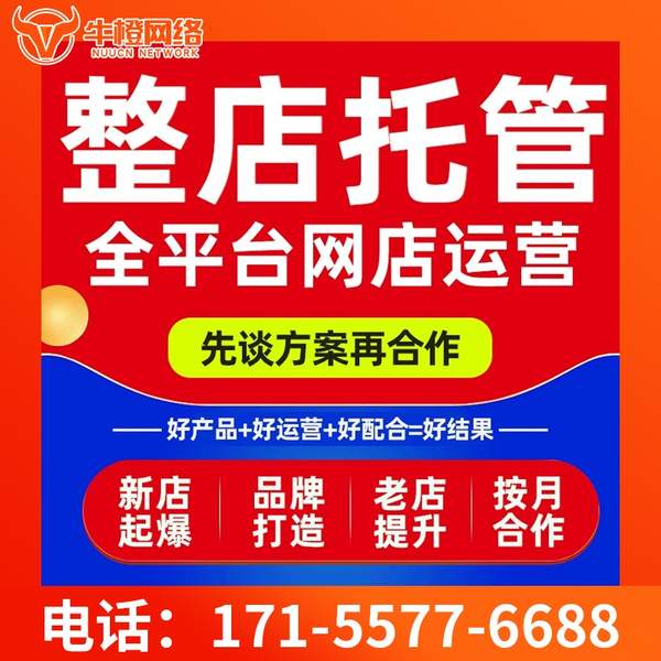 北京电商代运营