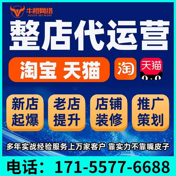 北京电商代运营
