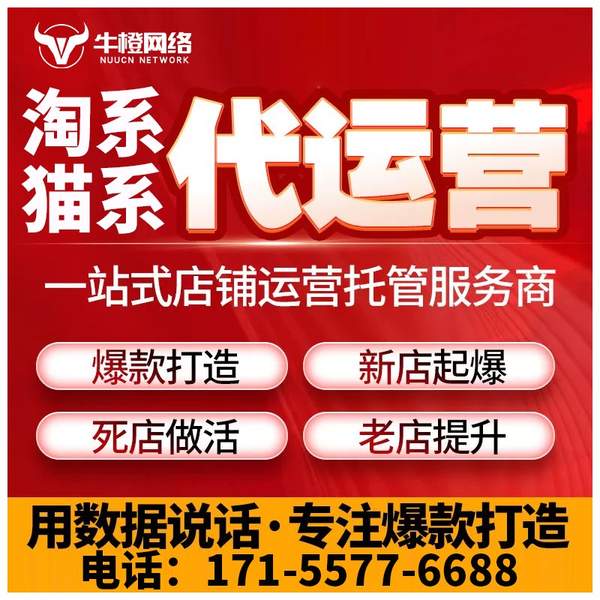 北京电商代运营
